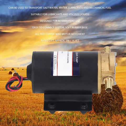 Heavy-Duty Self Priming Brass Gear Pump With 12V And 24V Electric Fuel Transfer Capabilities For Diesel Oil And Saltwater Applications Featuring Sturdy Solid Brass Housing And Vibration Absorbing Rubber Base For Long Lasting Industrial Use Performance