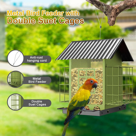 Heavy Duty Outdoor Bird Feeder With Double Suet Cage Hanging Metal Construction Weatherproof Finish Large Capacity