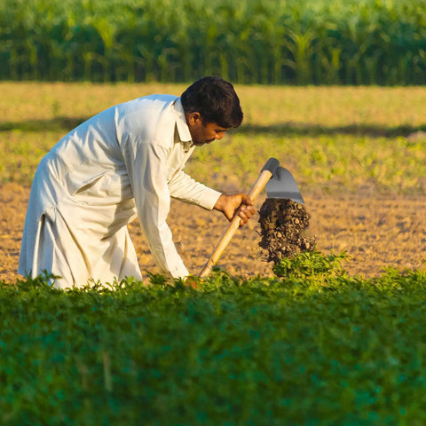 Person using Pro Grade Stainless Steel Garden Hoe Head for Digging and Weeding Heavy Duty Handheld Tool in a field