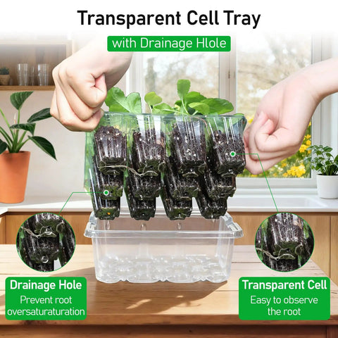 Seed Starter Tray Kit With Elevated Humidity Dome 120 Cell Seed Germination Tray Set Adjustable Height Lids Drainage Holes Clear Heightened Dome For Indoor And Outdoor Garden 10 Pack Transparent Pro Grade