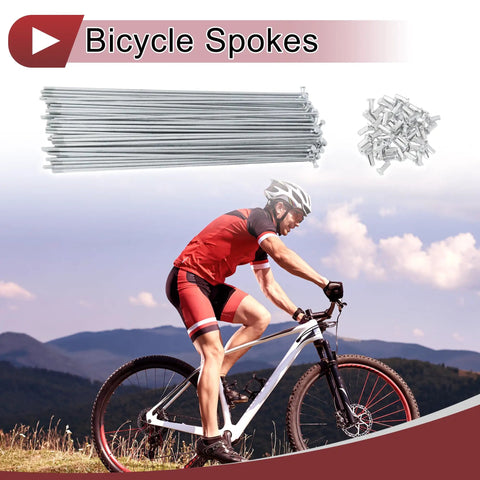 Man cycling with 48 Piece Set 10G Bicycle Spokes 260mm For Road And Mountain Bikes Carbon Steel Galvanized Silver Tone