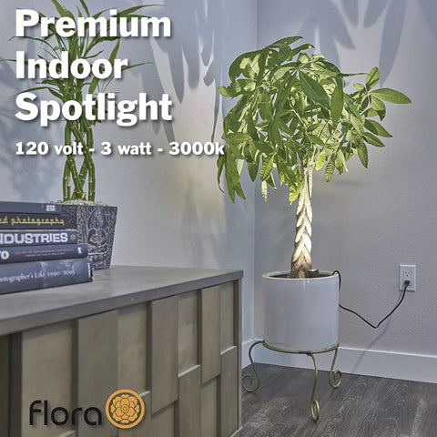 Dope Indoor Plant Spotlight With Uplight And Downlight, 3W LED Decorative Lamp highlighting potted plant in living room