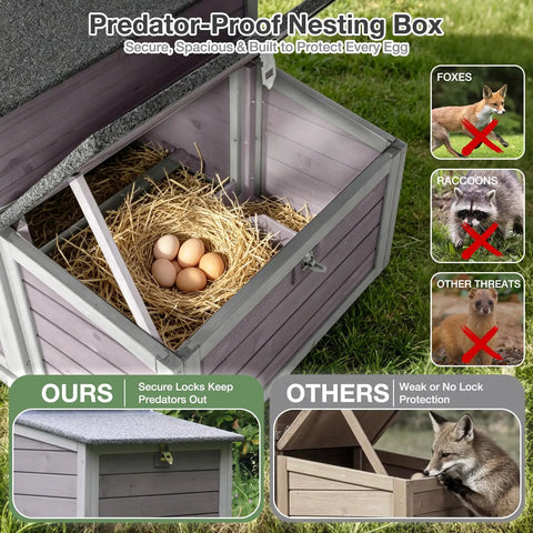 Outdoor Wooden Chicken Coop For 2 To 3 Hens With Nest Box, Waterproof Roof, Predator Proof Latch shown protecting eggs.