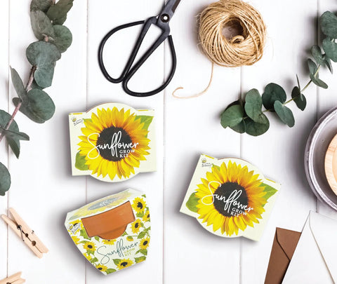 All In One Sunflower Mini Terracotta Pot Grow Kit 12 Pack For Indoor And Outdoor Gardens Seed Starter DIY Plant Project image