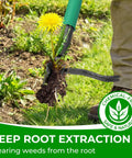 Stand Up Weed Puller with Two Weed Ejects extracting dandelion with 43.7 inch long handle and metal four-claw head in use