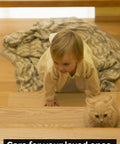 Child and kitten on stairs with 6x30 Inch Clear Non Slip Stair Treads Tape 14 Pack For Indoor And Outdoor Use Anti Slip Grip Strips
