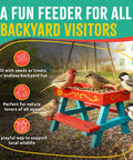 Picnic Table Bird Feeder Kit For DIY Family Fun With Tools And Paint Set FSC Certified New Zealand Pine Backyard Nature Activity For Kids Ages 6 And Up displaying colorful feeder with birds outside.