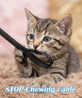 Kitten playing with Three Piece Braided Cable Sleeving Kit Black Flame Retardant Nylon Wire Looms 1/4 Inch 3/8 Inch 1/2 Inch