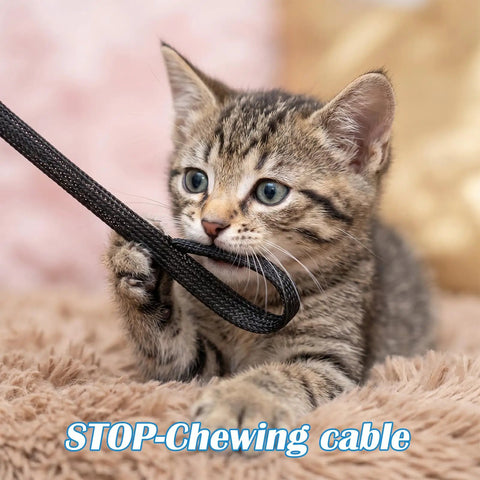 Kitten playing with Three Piece Braided Cable Sleeving Kit Black Flame Retardant Nylon Wire Looms 1/4 Inch 3/8 Inch 1/2 Inch