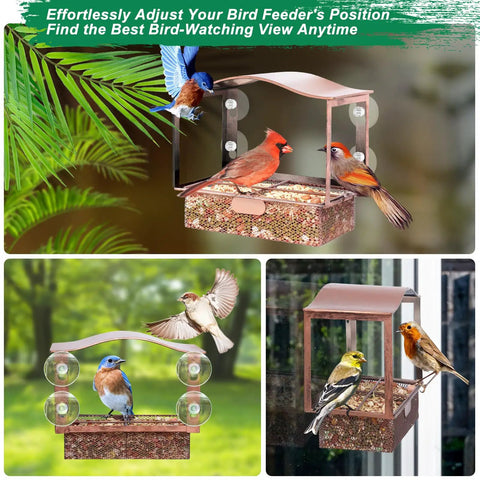 Metal Window Bird Feeder with wide viewing window and ultra strong suction cups mounted on glass for outdoor bird watching.