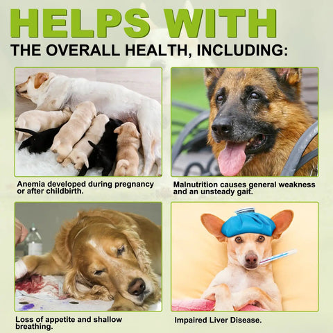 Image illustrating health issues in dogs including anemia, malnutrition, and impaired liver disease related to Game Changer Milk Thistle For Dogs With 180 Chewable Tablets Top Shelf Natural Liver Support And Kidney Repair Plus Solid Immune System Defense Wrapped In Doggo Loving Peking Duck Flavor.
