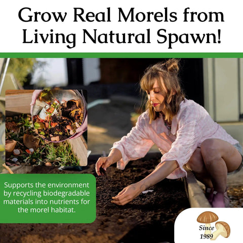 Woman gardening with Grow Gourmet Morels At Home With This Easy Morchella Mushroom Kit For Backyard Growers Works In Any Soil Type Across The USA Full Instructions Outdoor Cultivation Made In The USA.