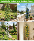 Collage of 2 Pack Garden Obelisk Trellis For Climbing Plants 71 Inch Adjustable Height supporting blooming vines indoors and outdoors.