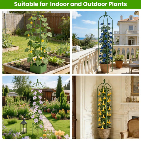 Collage of 2 Pack Garden Obelisk Trellis For Climbing Plants 71 Inch Adjustable Height supporting blooming vines indoors and outdoors.