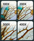 Microscopic view of a dragonfly wing at 100x, 200x, 300x, and 400x magnification, captured with USB Rechargeable Handheld Microscope With 500x Magnification, Portable White Microscope For Ages 6 To 12, Ideal For School Labs, Home Science Projects, And Outdoor Exploration