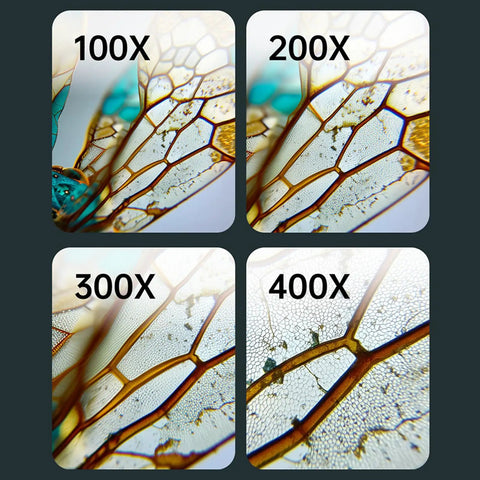 Microscopic view of a dragonfly wing at 100x, 200x, 300x, and 400x magnification, captured with USB Rechargeable Handheld Microscope With 500x Magnification, Portable White Microscope For Ages 6 To 12, Ideal For School Labs, Home Science Projects, And Outdoor Exploration