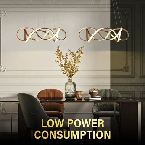 Gold LED Ring Dining Room Chandelier Pendant Light Fixture for Living Room and Kitchen, Modern Irregular Circular Ring Design