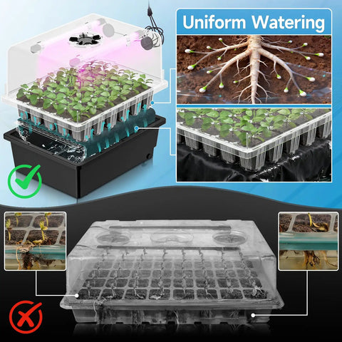 All In One Seed Starting Kit With 30 Cell Tray, High 5.3 Inch Humidity Dome, LED Grow Lights, 10 By 20.75 Inch Seedling Heat Mat, Adjustable Vents For Easy Germination And Propagation