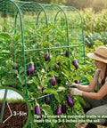 Arch Cucumber Trellis For Raised Beds, U Shape Metal Garden Trellis supporting eggplants, gardener tending plants, soil insertion detail