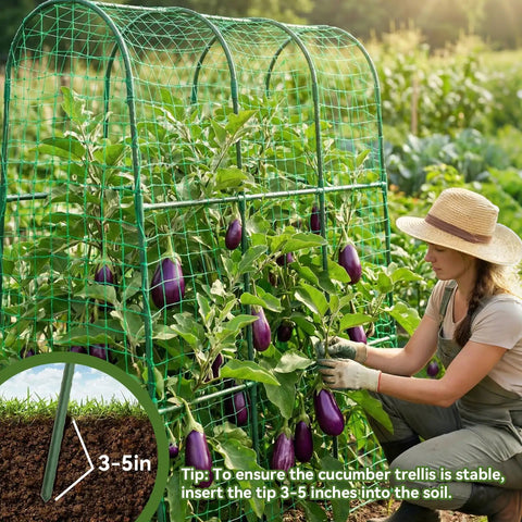 Arch Cucumber Trellis For Raised Beds, U Shape Metal Garden Trellis supporting eggplants, gardener tending plants, soil insertion detail