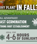 Why plant in fall infographic showing benefits like fast germination and strong root establishment for grass seed.