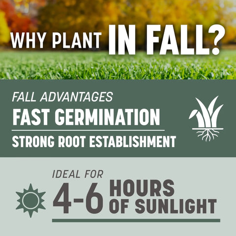 Why plant in fall infographic showing benefits like fast germination and strong root establishment for grass seed.