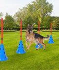 Backyard Dog Agility Training Kit For Real Pros And Beginners with cones and agile rods, German Shepherd practicing outdoors.