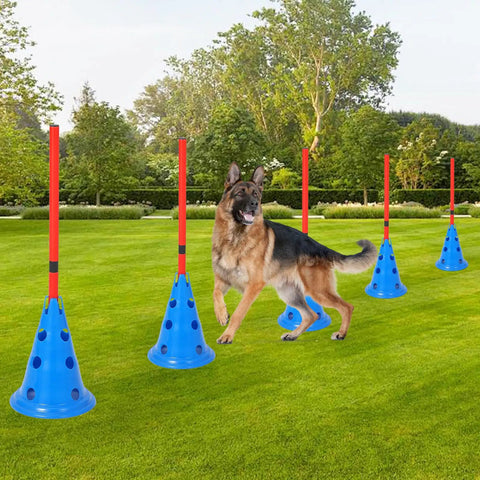 Backyard Dog Agility Training Kit For Real Pros And Beginners with cones and agile rods, German Shepherd practicing outdoors.
