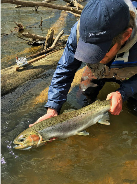 Angler releasing a large rainbow trout in a freshwater stream, wearing a cap and blue jacket, fishing gear visible on the log.