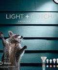 Motion Activated LED Flood Lights PAR38 Linkable Outdoor Security Light Bulbs illuminating raccoon at night