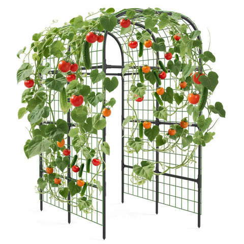 Metal Garden Arch Trellis Black 7.3 Ft, Space Saving Vertical Plant Support For Raised Beds with climbing tomatoes and cucumbers