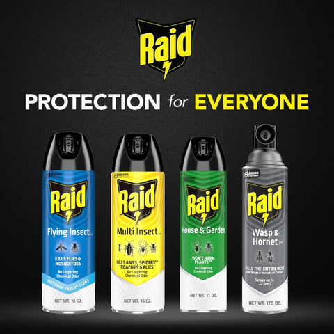 Collection of Raid sprays including Flying Insect Killer Spray Indoor Outdoor Use 15 Oz Kills Flies Mosquitoes and Other Insects on Contact
