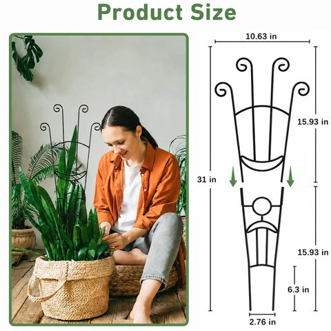 Woman sitting next to plant with 32.6 Inch Expandable Metal Plant Trellis For Indoor And Outdoor Climbing Plants Two Pack Heavy Duty Tall Support.