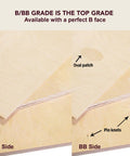 Three Millimeter Baltic Birch Plywood One Eighth Inch By Twelve Inch By Twenty Inch BB Grade Six Pack Ready For Glowforge, B/BB grade closeup