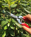 Micro-Tip Pruning Snip For Delicate Flower Arranging And Plant Trimming, lightweight hand pruner trimming green shrub branch