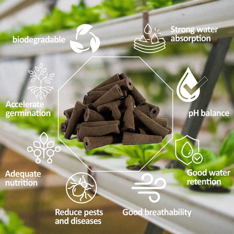 50 Pack Hydroponic Grow Sponges For Seed Pods And Garden Seed Starter Pods Replacement Cube Sponges For Seed Plugs And Growing Systems Great For Indoor Gardens And DIY Hydroponics Setups