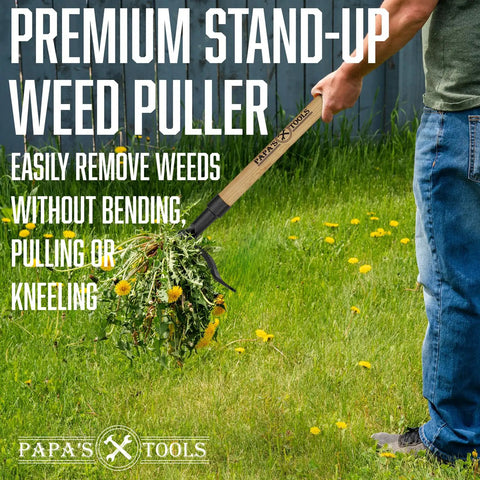 Person using Stand Up Weed Puller Tool With Heavy Duty 4-Claw Steel Head And Solid Bamboo Handle on grass lawn
