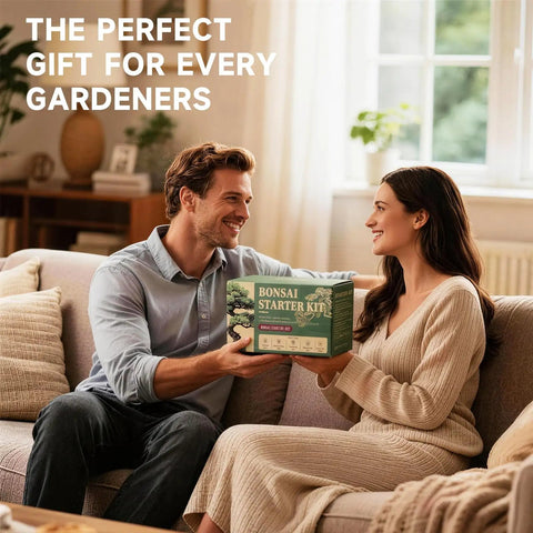 Couple exchanging Indoor Bonsai Seed Starter Kit With Drainage Pots, 8 Tree Varieties Like Jacaranda in living room