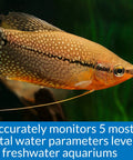 Freshwater Aquarium Test Kit Has 800 Tests For Ph Ammonia Nitrite And Nitrate To Maintain Safe Crystal Clear Water Protecting Fish From Harmful Spikes While Tracking Tank Stats On Point For Your Aquatic Squad Ensuring Legit Results Daily with a vibrant fish in focus.