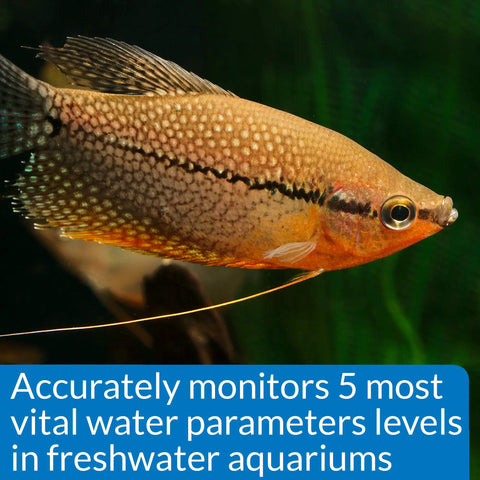 Freshwater Aquarium Test Kit Has 800 Tests For Ph Ammonia Nitrite And Nitrate To Maintain Safe Crystal Clear Water Protecting Fish From Harmful Spikes While Tracking Tank Stats On Point For Your Aquatic Squad Ensuring Legit Results Daily with a vibrant fish in focus.
