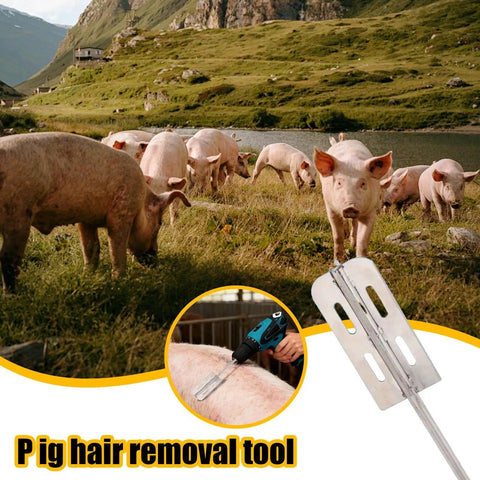 Hog Hair Shaver Portable Stainless Steel Hand Hog Dehairing Tool For Livestock Sheep Cattle In Workshop Slaughterhouse A Real Workhorse Pro Grade Built To Last With Wear Resistant Grooves For Quick Grooming And Clean Butchering, pig hair removal tool