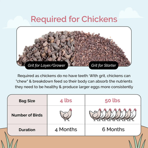 Image showing Chicken Grit For Layer And Grower Chickens Ages 8 Weeks And Up, 100 Percent Natural Mineral Quartzite Poultry Grit USA Mined.