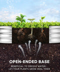 Raised Garden Bed Kit With Galvanized Planter Boxes 2 Pack 4x2x1ft Easy Assembly Outdoor Garden Bed For Veggies Fruits And Flowers Includes Gloves Wrench And Galvanized Nuts And Bolts with open-ended base for drainage.