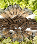 Cone Shaped Grow Sponges For Cloning And Germination, 50 Pack Plant Starter Pods surrounded by young leafy greens
