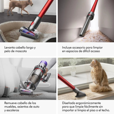 Outsize Origin Cordless Vacuum For Big Homes No Cord Convenience Full On Powerhouse Performance With 60 Minutes Run Time And Three Modes 90 Percent More Power Nickel Red cleaning pet hair from carpet and upholstery, various angles.