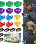 Ninja Tree Climbing Holds Set For Kids And Grownups on tree, featuring 12 colorful resin holds, 6 ratchet straps, textured grips.