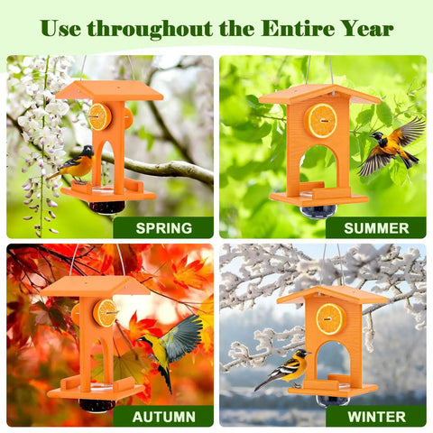 Oriole Feeder For Outdoors Hanging All In One Recycled Plastic Bird Feeder With Removable Glass Cup For Jelly Jam Fruit Nectar Or Seed Orioles Orange 1 Pack in different seasons: spring, summer, autumn, winter.