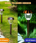 Solar Pathway Lights 6 Pack Outdoor Waterproof Garden Lighting Stainless Steel Walkway Lamps Cold White 15 Lumen LEDs With Up To 12 Hours Of Ultra Bright Night Illumination shown illuminating a garden path.