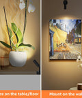2 Pack Dimmable LED Uplights For Indoor Use With 10 Ft Cord Adjustable 3000K 4000K 5000K Color Temperature Great For Plants Artwork And Photos Energy Saving Mood Lighting For Home Or Studio highlighting orchid and painting