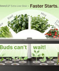Indoor Hydroponics Garden System With 12 Pods And 24W LED Grow Light showcasing herbs and sprouts